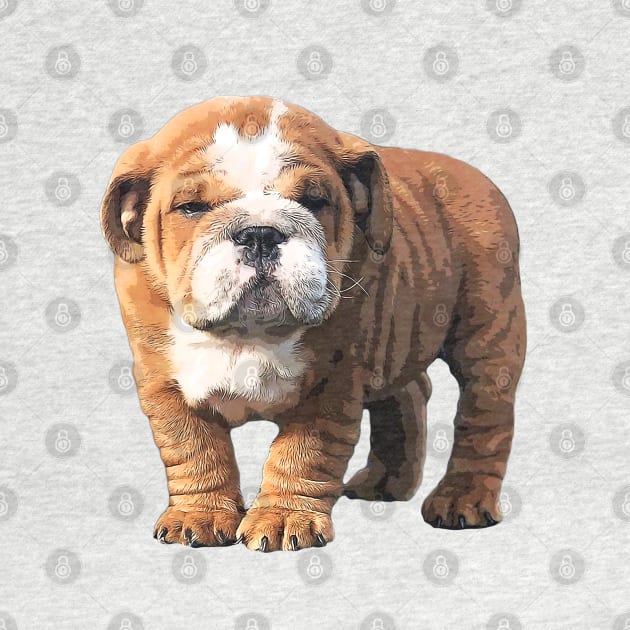 Bulldog Super Cute Puppy Dog by ElegantCat